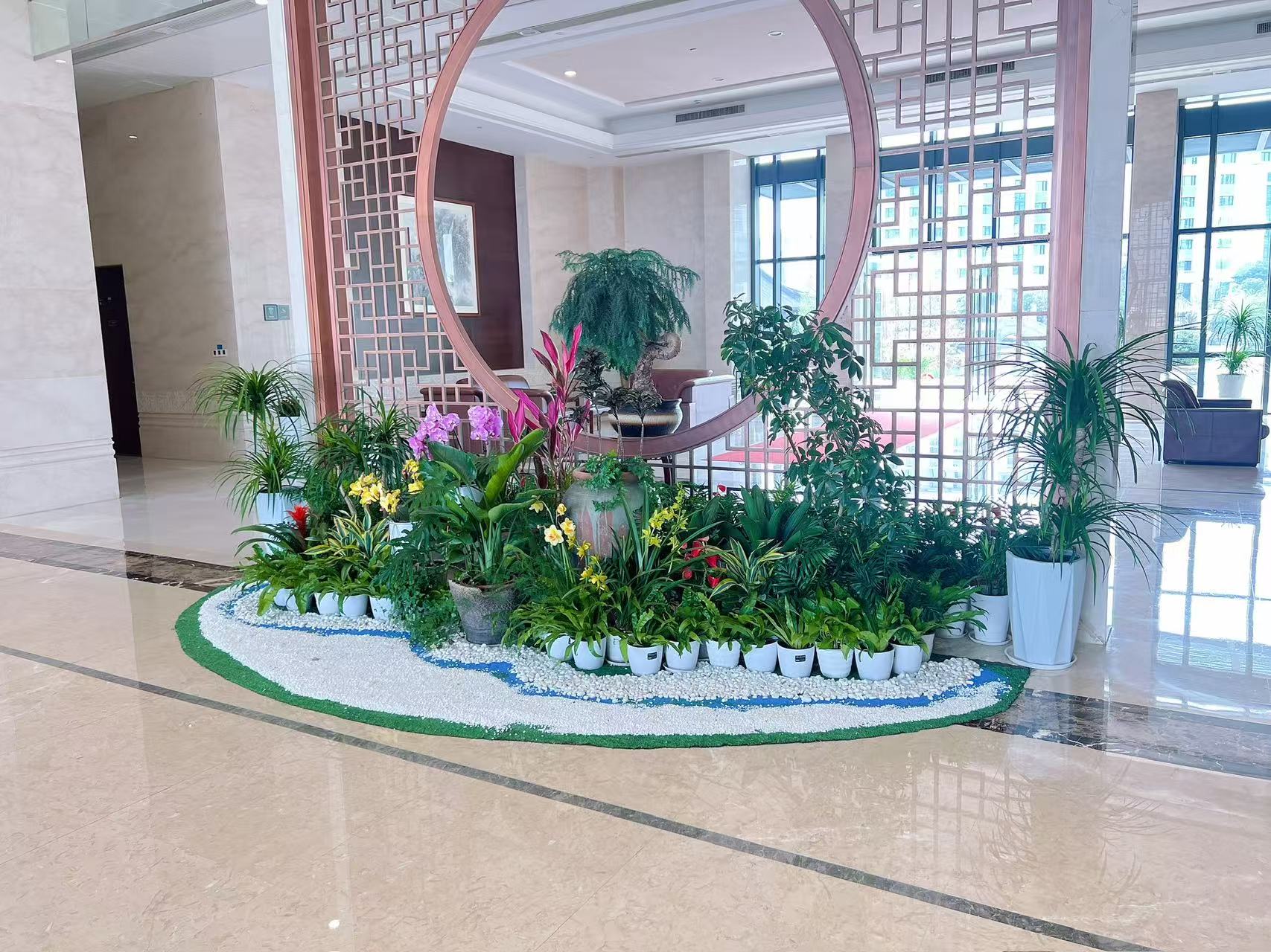 江北盆景租赁服务好